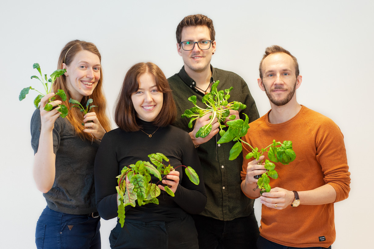 Fyra personer med växter i händerna